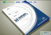 專業平面設計服務覆蓋廣州荔灣、白云、增城、南沙，助力企業畫冊設計