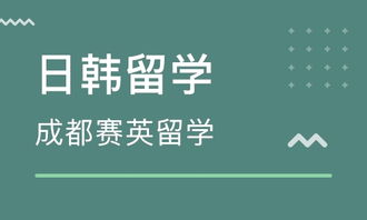 成都賽英教育咨詢 提升教育規(guī)劃的專業(yè)伙伴