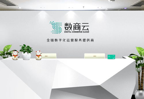 廣州市數(shù)商云網絡科技 專業(yè)的計算機服務解決方案
